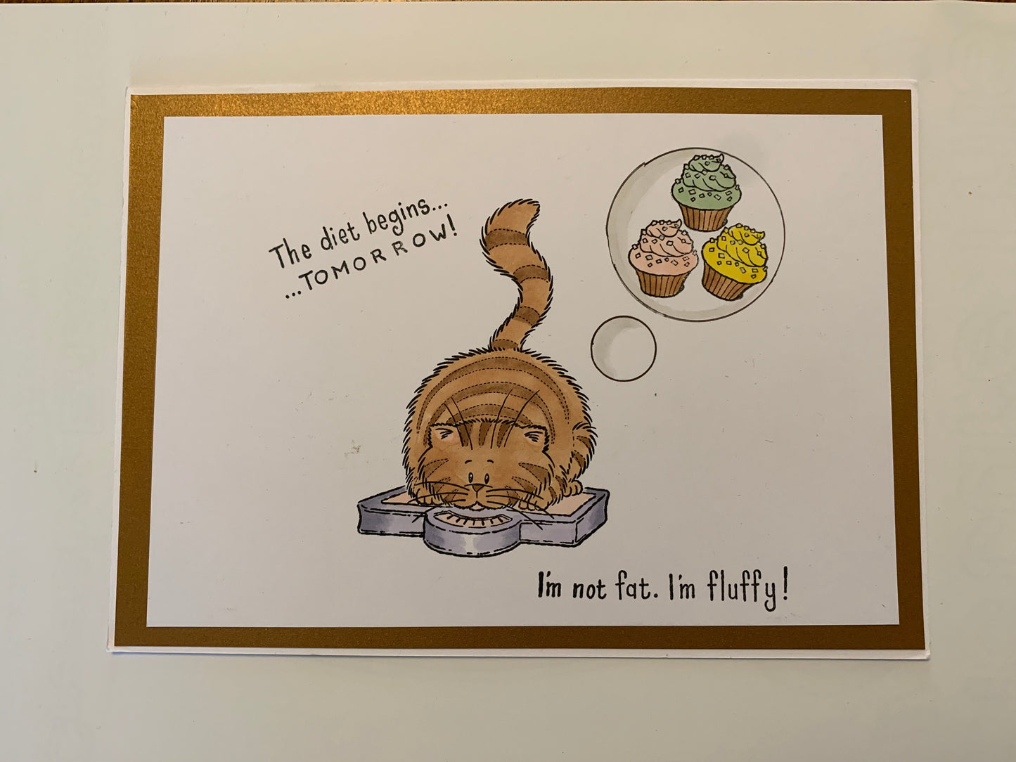 Purrfect World set 2. Fluffy Felines