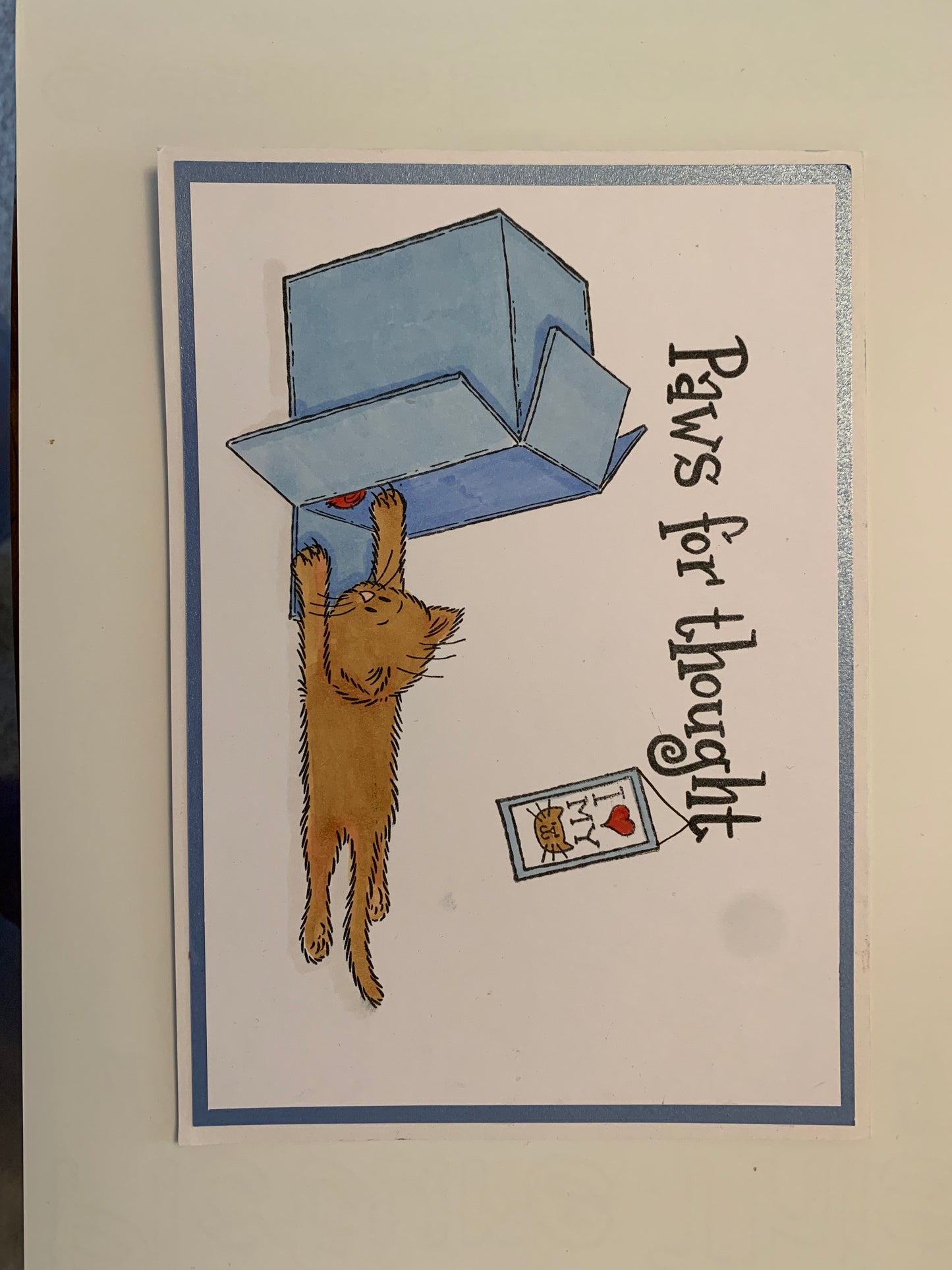 Pets at play, Cats set 2